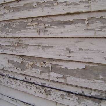 12 Reasons Your House Paint Failed